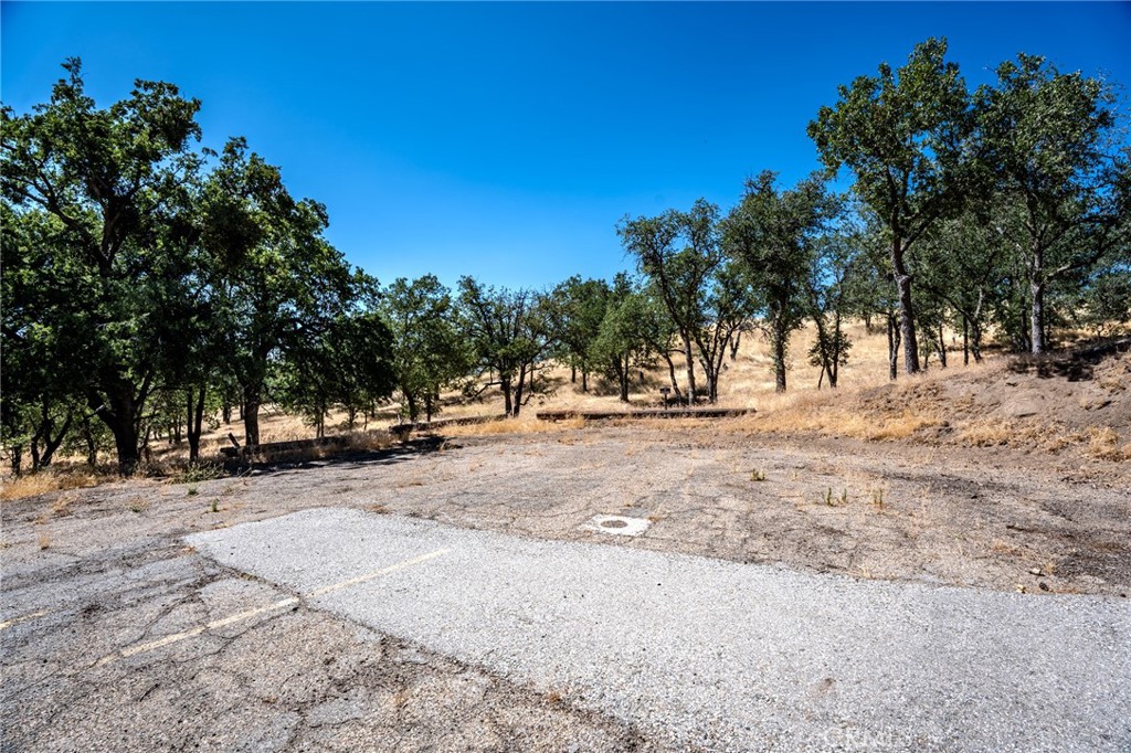 MLS #PI25150559 img 6