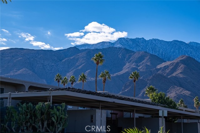 Detail Gallery Image 18 of 24 For 2252 N Indian Canyon Dr #B,  Palm Springs,  CA 92262 - 3 Beds | 2/1 Baths