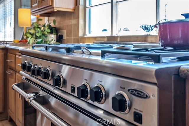 DCS chef's stove