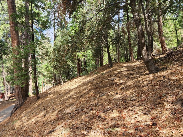 601 Electra, Crestline, CA, 92325 601 Electra, Crestline, CA, 92325
