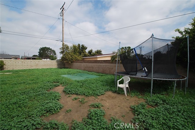 Looking North East in back yard