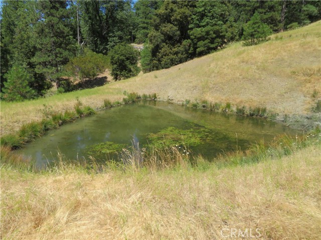 Detail Gallery Image 17 of 31 For 0 Barns Ranch Rd, Covelo,  CA 95428 - – Beds | – Baths