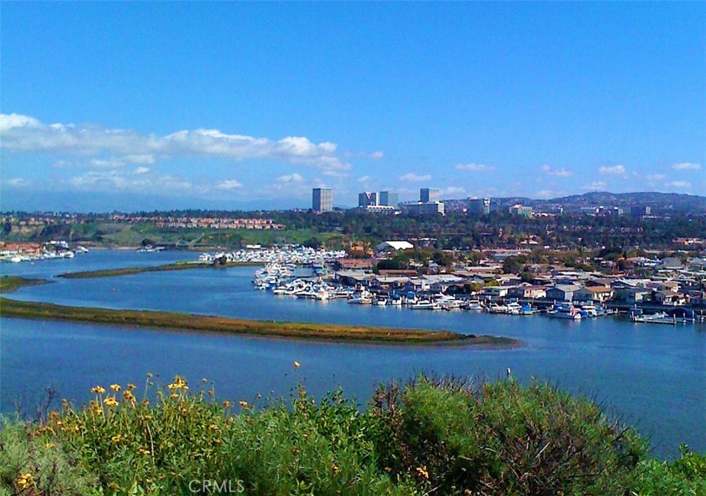 MLS #NP26135303 image #1