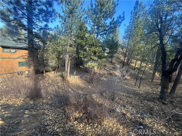 899 Kern Avenue, Sugarloaf CA: https://media.crmls.org/medias/6a3a3a65-c908-49ee-b66a-b5cffe737fff.jpg