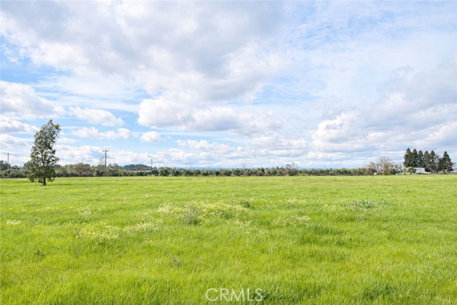 Detail Gallery Image 5 of 8 For 3781 Columbia, Corning,  CA 96021 - – Beds | – Baths