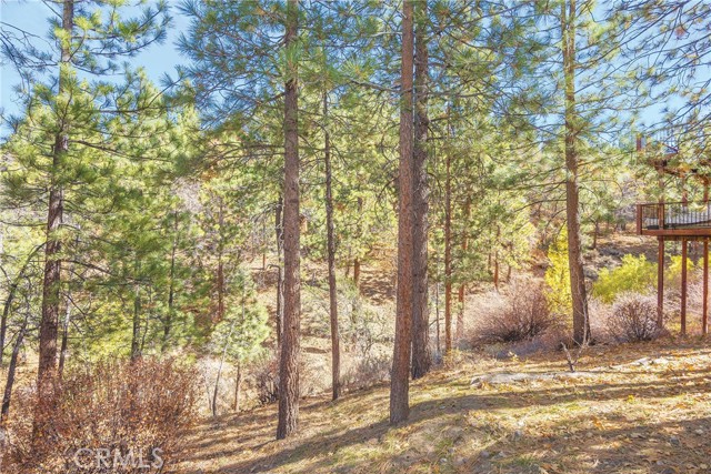 Detail Gallery Image 33 of 57 For 1200 Minton Dr, Big Bear City,  CA 92314 - 3 Beds | 2 Baths