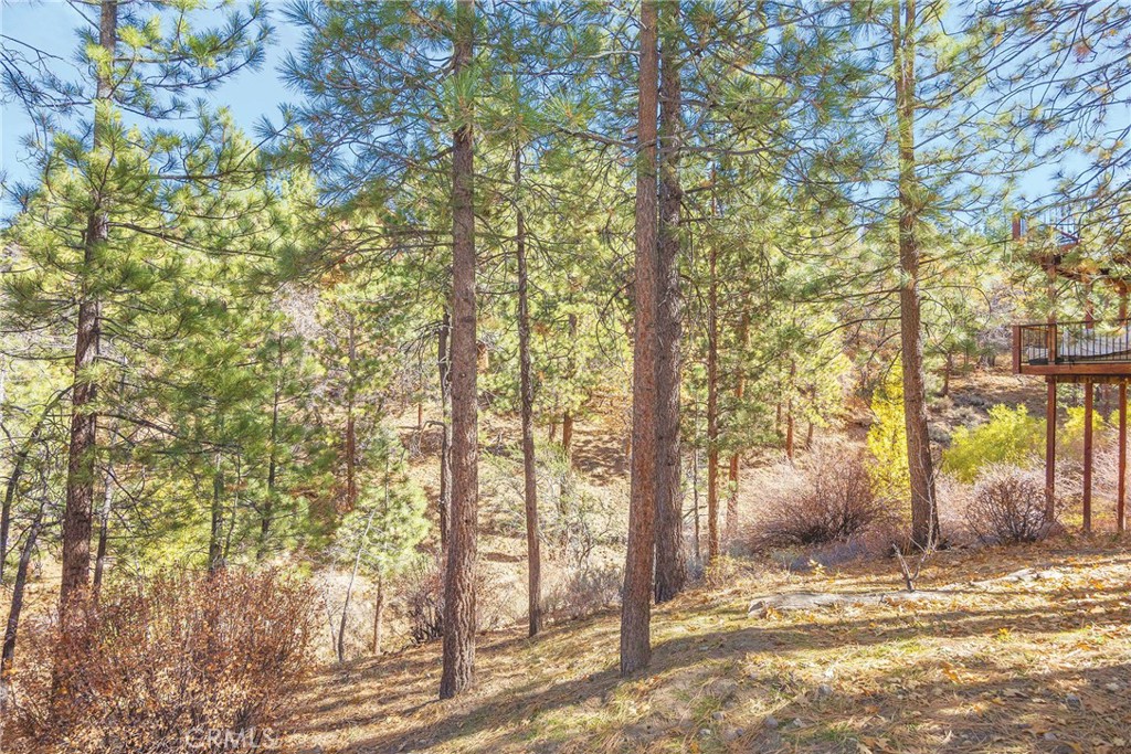 MLS #IG25263616 image #32