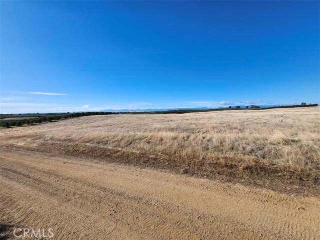 Detail Gallery Image 7 of 22 For 0 087-250-008-000, Corning,  CA 96021 - – Beds | – Baths