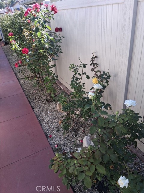 2525 Neptune Place photo 39