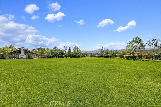 16183 Village Meadow Drive, Riverside CA: https://media.crmls.org/medias/6a4e683c-fbcb-429b-a6df-3498af6c050a.jpg