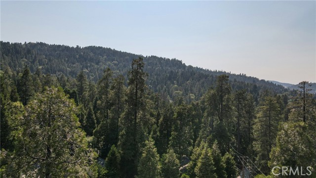 Detail Gallery Image 41 of 48 For 24941 Faulhorn Dr, Crestline,  CA 92325 - 3 Beds | 1/1 Baths