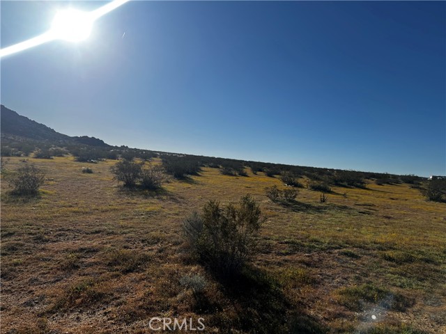 Detail Gallery Image 4 of 8 For 29 Pineridge Rd, Adelanto,  CA 92301 - – Beds | – Baths