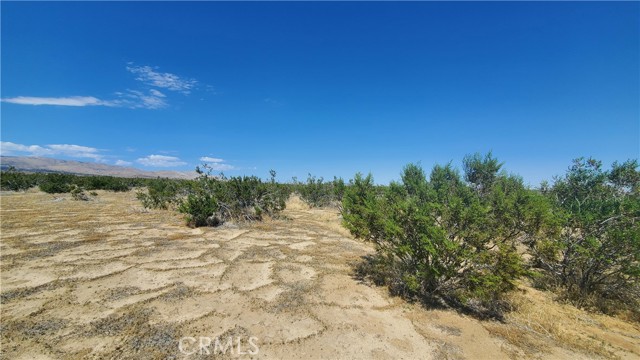 0 Budlong Ave & 114th St West, Rosamond, California 93560, ,Land,For Sale,0 Budlong Ave & 114th St West,CRSR23171065