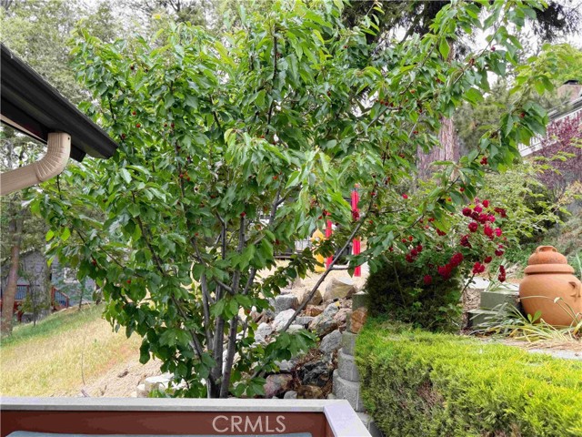 489 Dorn Drive, Crestline CA: https://media.crmls.org/medias/6a662369-0385-4304-8fa5-a09facc038e6.jpg