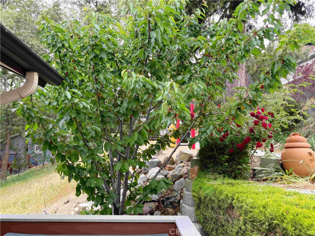 https://media.crmls.org/medias/6a662369-0385-4304-8fa5-a09facc038e6.jpg?preset=X-Large
