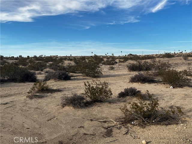 0 Larrea, Twentynine Palms, California 92277, ,Commercial Sale,For Sale,0 Larrea,CRJT23212131