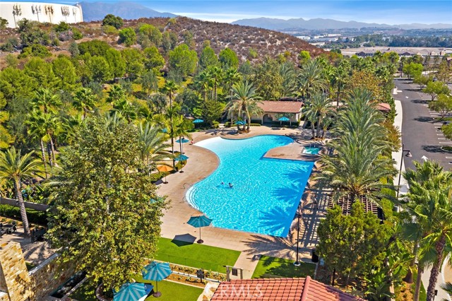 Image 47 of 59 For 12 Belladonna