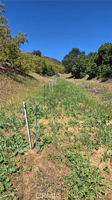 Detail Gallery Image 13 of 18 For 0 via Barranca, Temecula,  CA 92590 - – Beds | – Baths