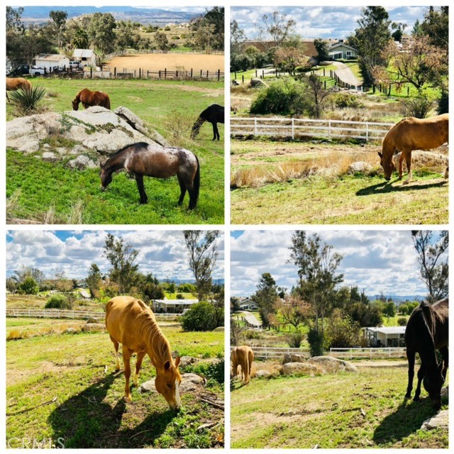 MLS #SW25241435 image #64