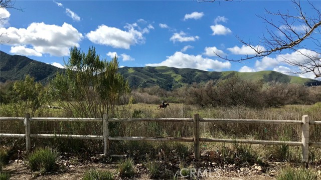 Detail Gallery Image 28 of 37 For 310 Sycamore Dr, Buellton,  CA 93427 - 4 Beds | 2 Baths