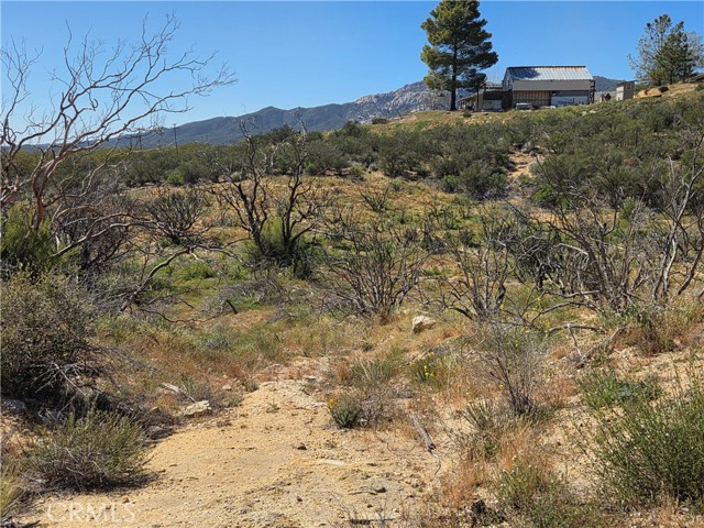 Detail Gallery Image 10 of 10 For 0 Howard, Anza,  CA 92539 - – Beds | – Baths