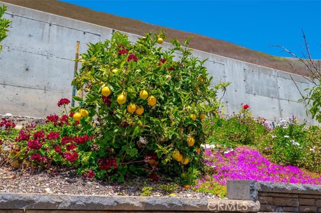 Detail Gallery Image 43 of 52 For 1309 Costa Brava, Pismo Beach,  CA 93449 - 3 Beds | 2/1 Baths