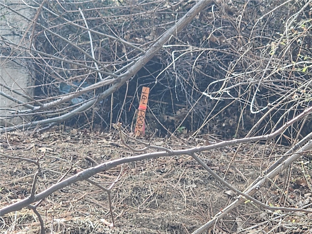 MLS #IG25045374 image #20