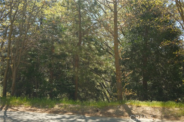 0 Thunderbird Drive, Lake Arrowhead CA: https://media.crmls.org/medias/6a86f690-8d04-4830-9059-07524c371b19.jpg