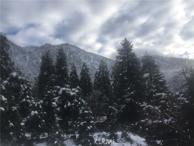 Detail Gallery Image 27 of 31 For 9112 Torrey Pines Rd, Forest Falls,  CA 92339 - 2 Beds | 2/1 Baths