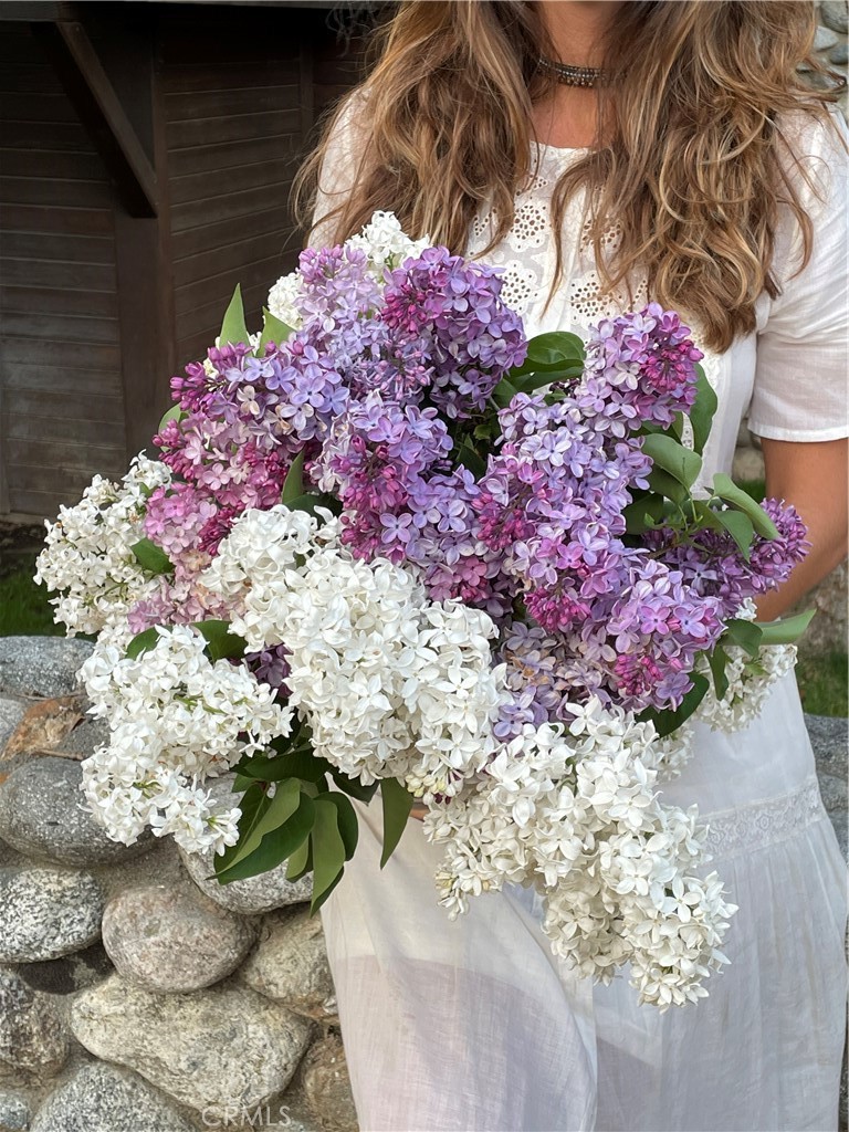 https://media.crmls.org/medias/6a873b7c-fad9-4168-9aba-a45dfeaa54c4.jpg?preset=X-Large