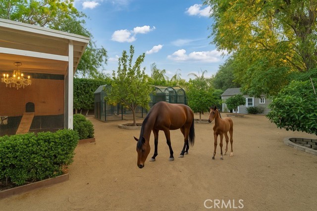 23134 Collins Street, Woodland Hills CA: https://media.crmls.org/medias/6a8d86db-a7fd-4113-b00e-d086cc6bd70a.jpg