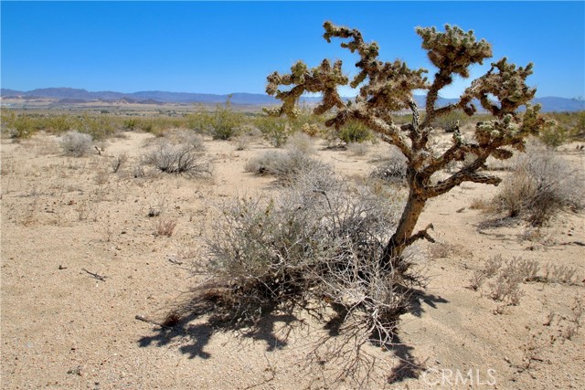 Detail Gallery Image 7 of 9 For 0 Mesquite Springs Rd, Twentynine Palms,  CA 92278 - – Beds | – Baths