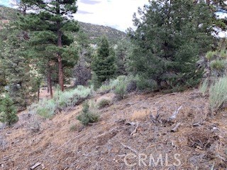 0 Ponderosa, Big Bear City, California 92314, ,Land,For Sale,0 Ponderosa,CROC20150732