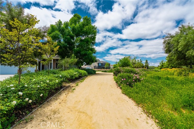 Detail Gallery Image 50 of 54 For 33565 Cyclamen Ln, Murrieta,  CA 92563 - 4 Beds | 2/1 Baths