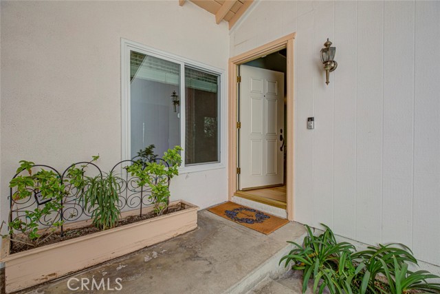 3600 Shannon Way photo 8