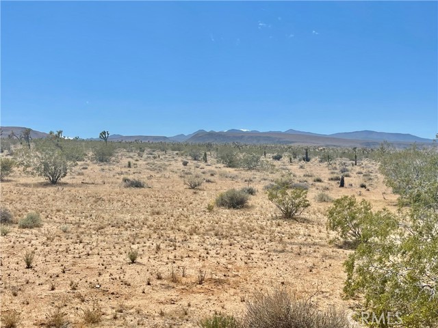 Detail Gallery Image 11 of 19 For 20 Acres, Yucca Valley,  CA 92285 - – Beds | – Baths