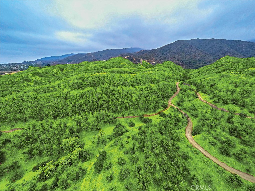 MLS #PW25078845 img 5