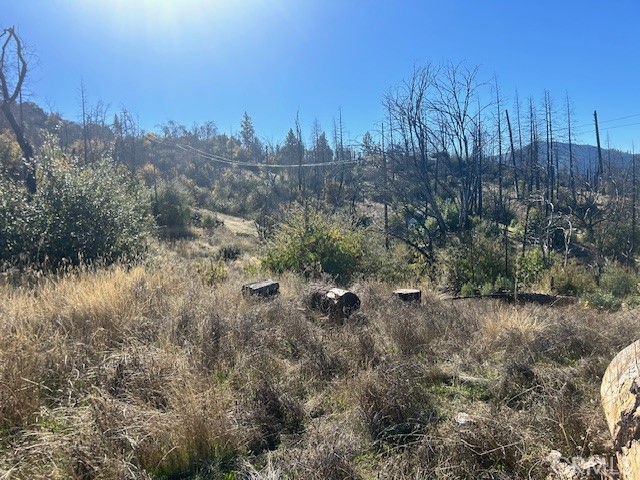 Detail Gallery Image 13 of 39 For 0 Craig Access, Feather Falls,  CA 95940 - – Beds | – Baths