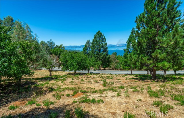 Detail Gallery Image 57 of 75 For 3126 Edgewood Drive, Kelseyville,  CA 95451 - – Beds | – Baths