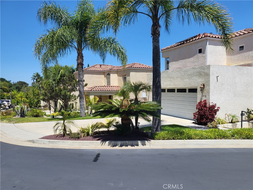 6372 Camino Largo - photo 4