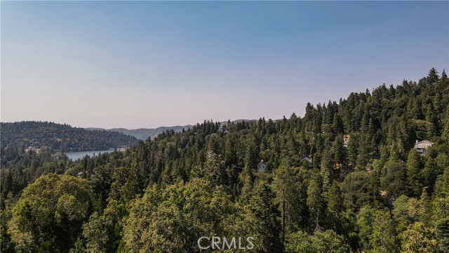 Detail Gallery Image 39 of 48 For 24941 Faulhorn Dr, Crestline,  CA 92325 - 3 Beds | 1/1 Baths