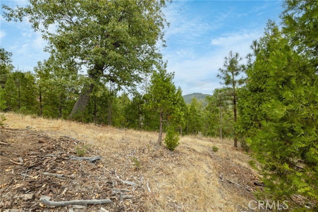 Detail Gallery Image 42 of 55 For 26 Timberview, North Fork,  CA 93643 - – Beds | – Baths