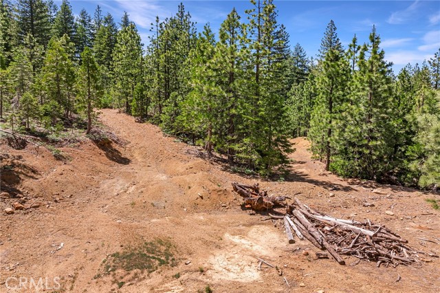 18727 Skyway, Stirling City CA: https://media.crmls.org/medias/6aaabbe3-0a89-4f04-8ecc-d79b9d46f1d8.jpg