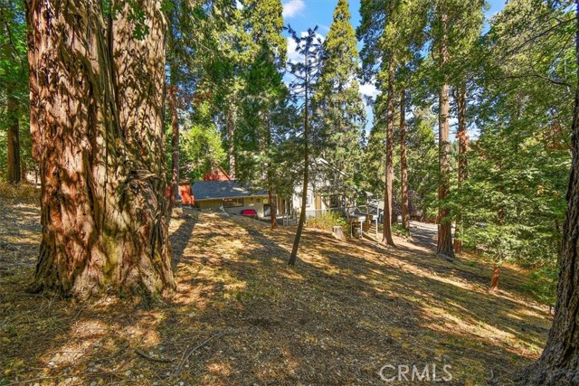 Detail Gallery Image 31 of 32 For 23945 Park Ln, Crestline,  CA 92325 - 4 Beds | 2 Baths