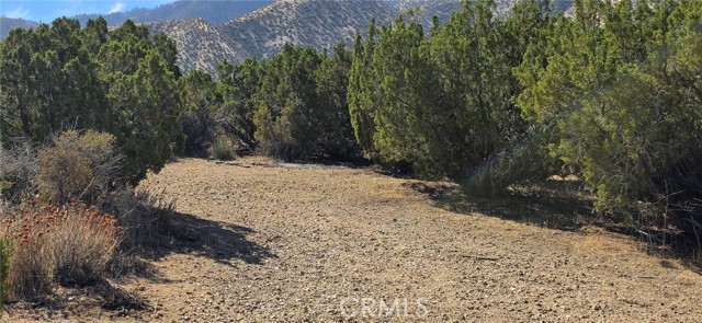 Front Image Thumbnail for CRSR26231679