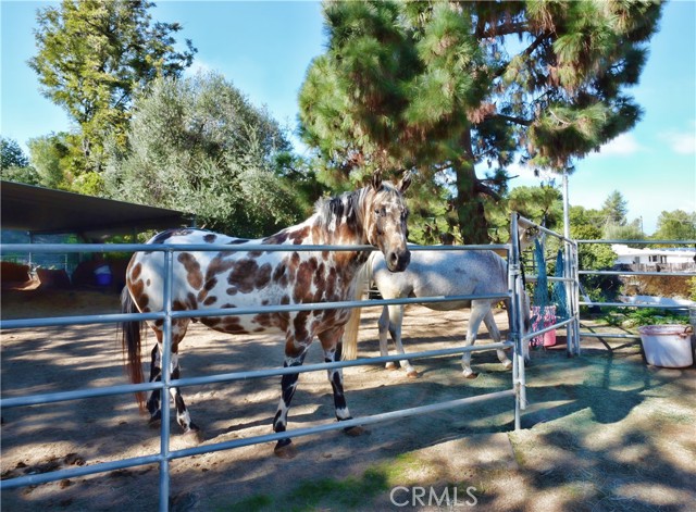Detail Gallery Image 29 of 36 For 2321 Carriage, Rolling Hills Estates,  CA 90274 - 4 Beds | 3 Baths