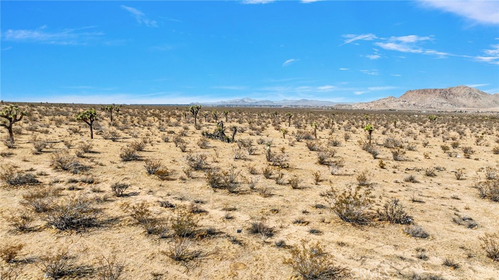 MLS #HD25252790 image #14