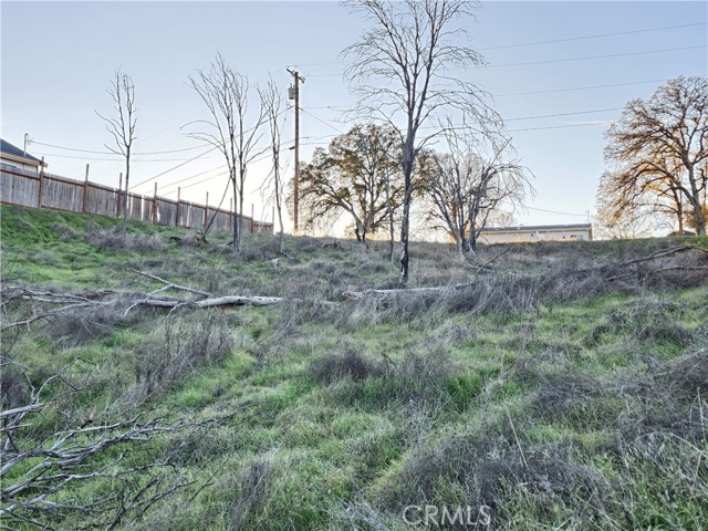 Detail Gallery Image 12 of 28 For 17150 Deer Park, Lower Lake,  CA 95457 - – Beds | – Baths