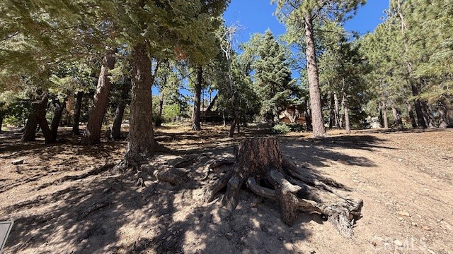 33112 Juniper Lane, Green Valley Lake CA: https://media.crmls.org/medias/6ab7d391-c8cf-4a66-b515-32fcb118efdf.jpg