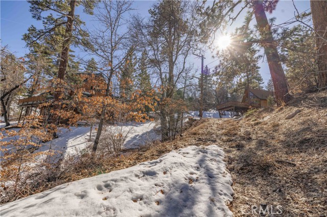 Detail Gallery Image 6 of 19 For 0 Pigeon Rd, Big Bear Lake,  CA 92315 - – Beds | – Baths